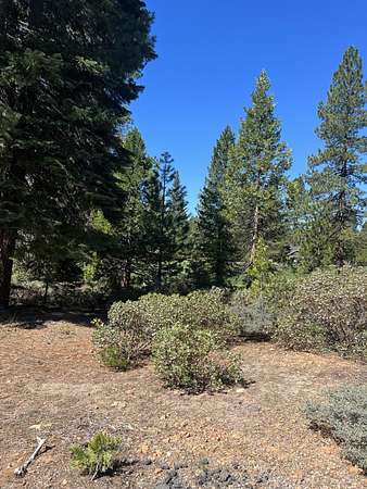 0.29 Acres of Land for Sale in Lake Almanor Peninsula, California