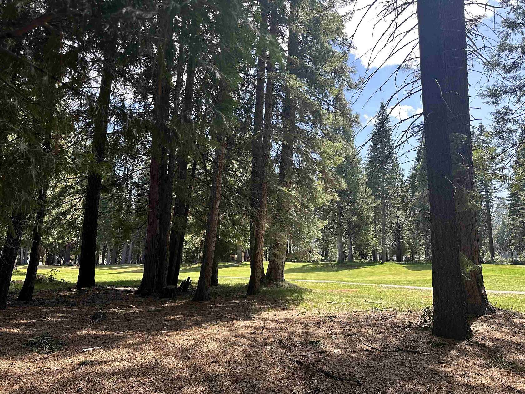 0.38 Acres of Residential Land for Sale in Lake Almanor West, California