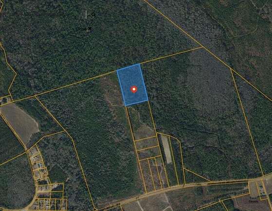 8.9 Acres of Land for Sale in Nichols, South Carolina