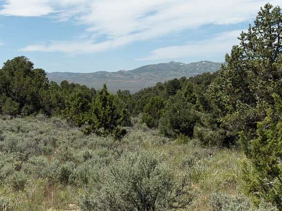 41.1 Acres of Land for Sale in Montello, Nevada