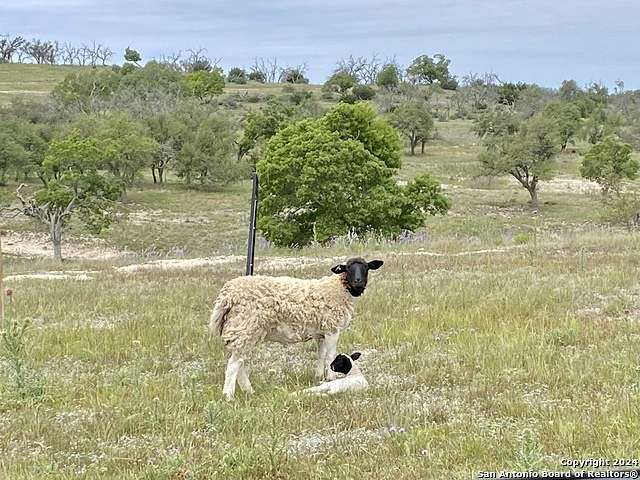 4 Acres of Residential Land for Sale in Fredericksburg, Texas