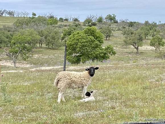 4 Acres of Residential Land for Sale in Fredericksburg, Texas