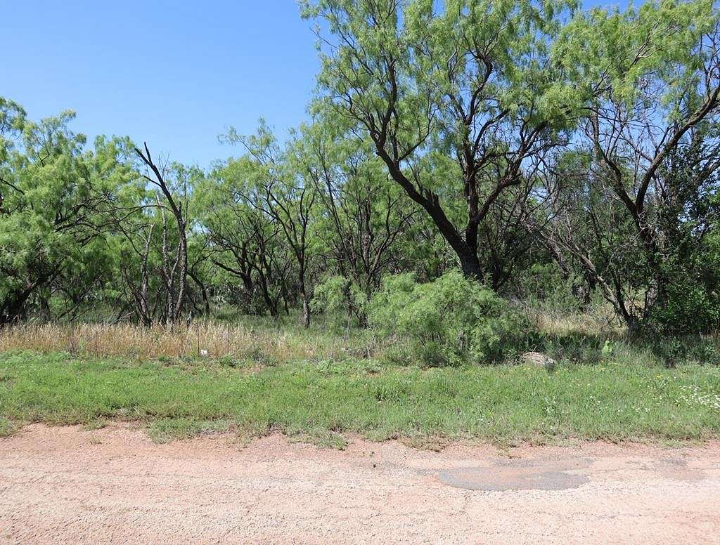 0.19 Acres of Residential Land for Sale in Sweetwater, Texas