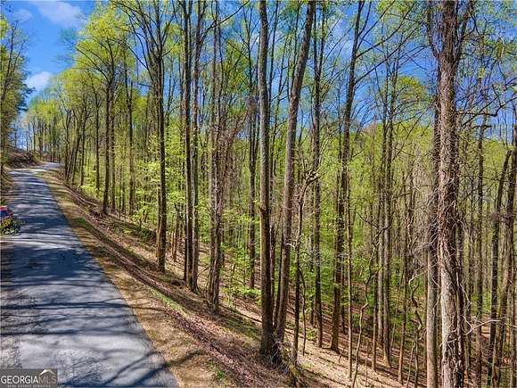0.8 Acres of Residential Land for Sale in Ellijay, Georgia