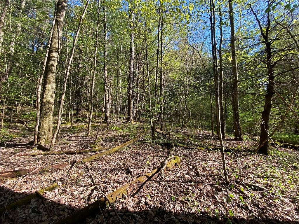 5 Acres of Residential Land for Sale in Roseboom, New York