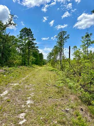 165 Acres of Land for Sale in Pembroke, Georgia