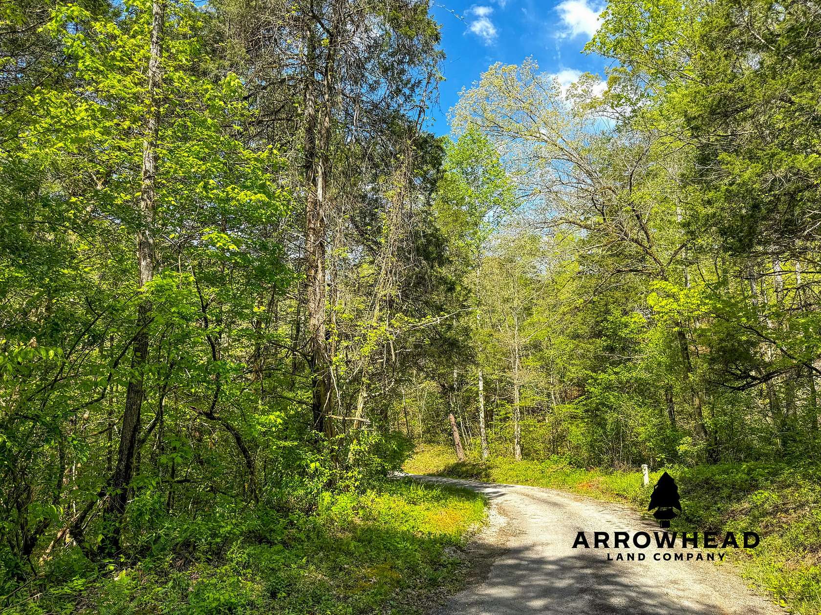 121 Acres of Land for Sale in Speedwell, Tennessee