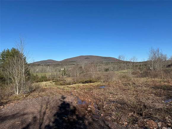 7.6 Acres of Residential Land for Sale in Jewett, New York