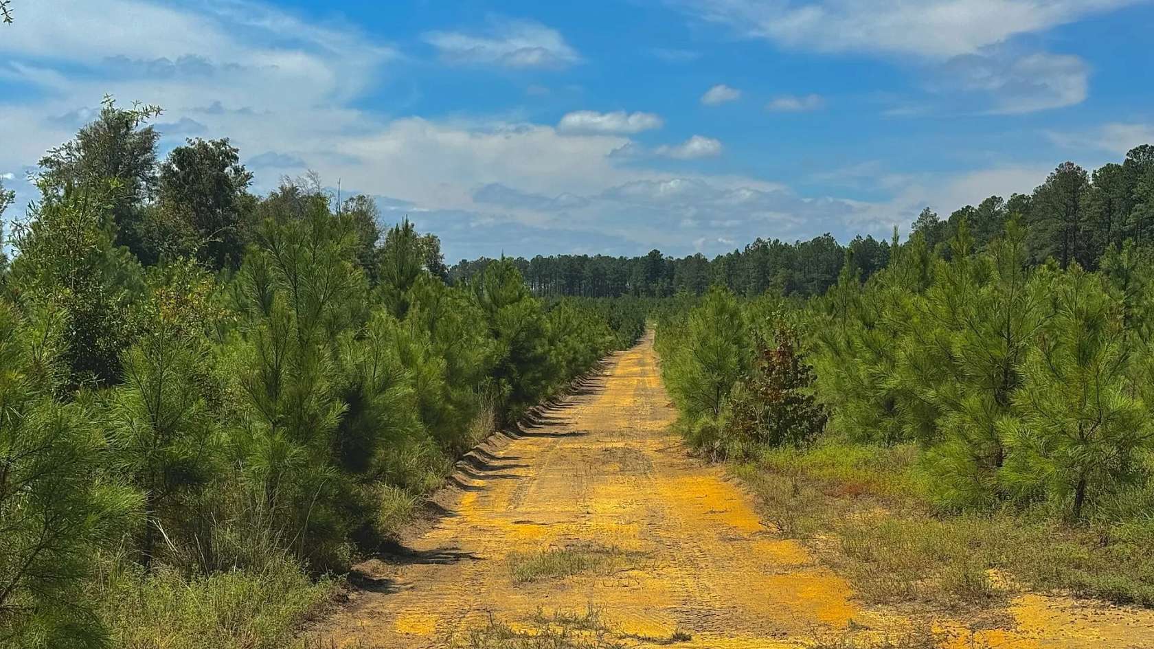 155 Acres of Recreational Land for Sale in Sandersville, Georgia