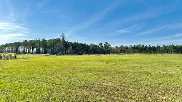 19.9 Acres of Recreational Land for Sale in Wrightsville, Georgia