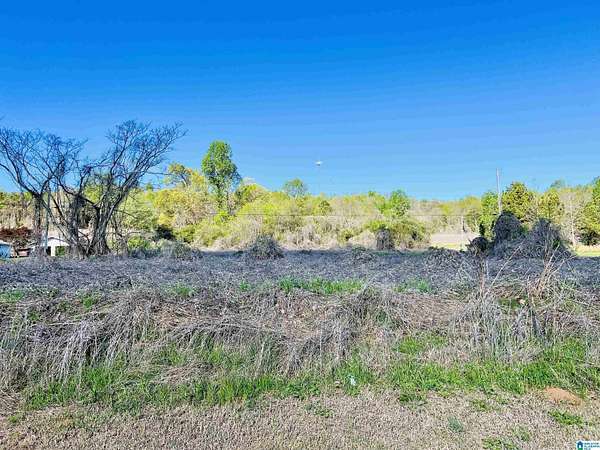 3.7 Acres of Commercial Land for Sale in Blountsville, Alabama