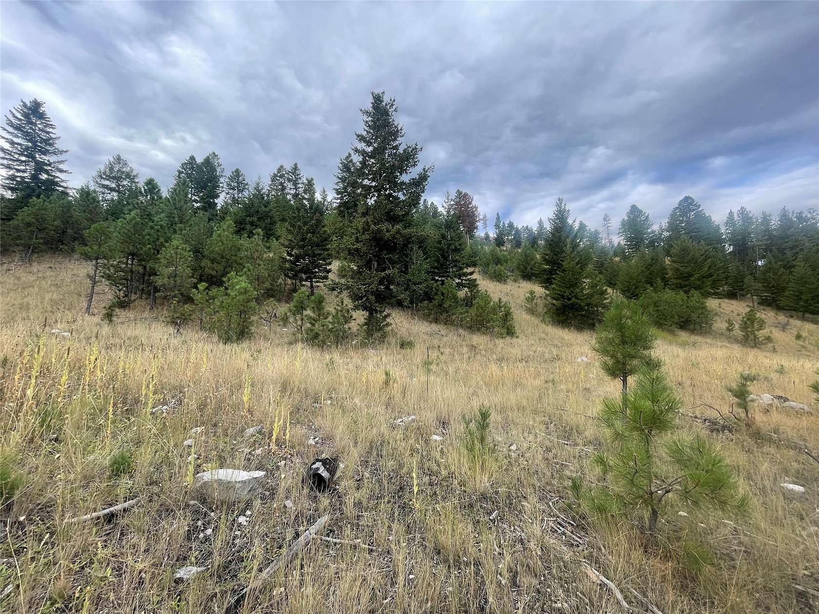2.2 Acres of Residential Land for Sale in Helena, Montana