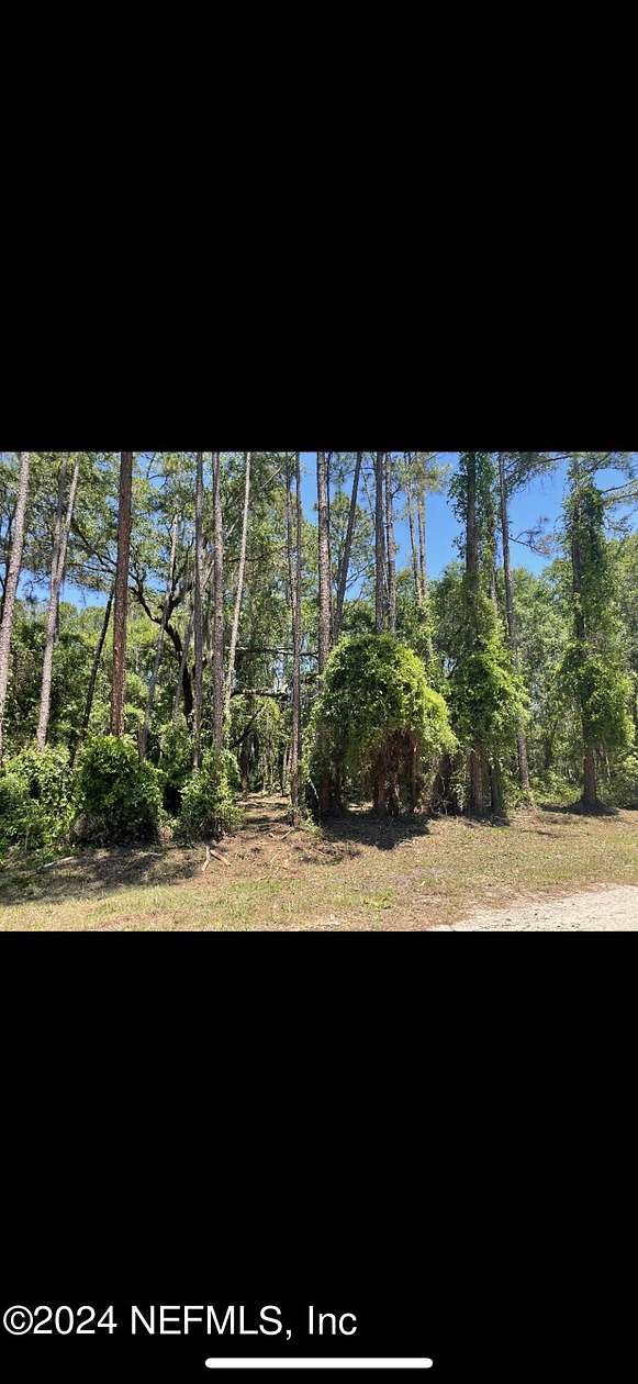 0.27 Acres of Residential Land for Sale in Georgetown, Florida