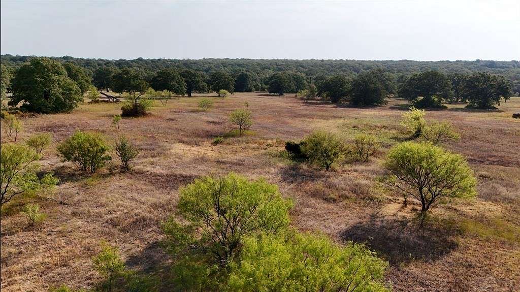 28.2 Acres of Agricultural Land for Sale in Perrin, Texas