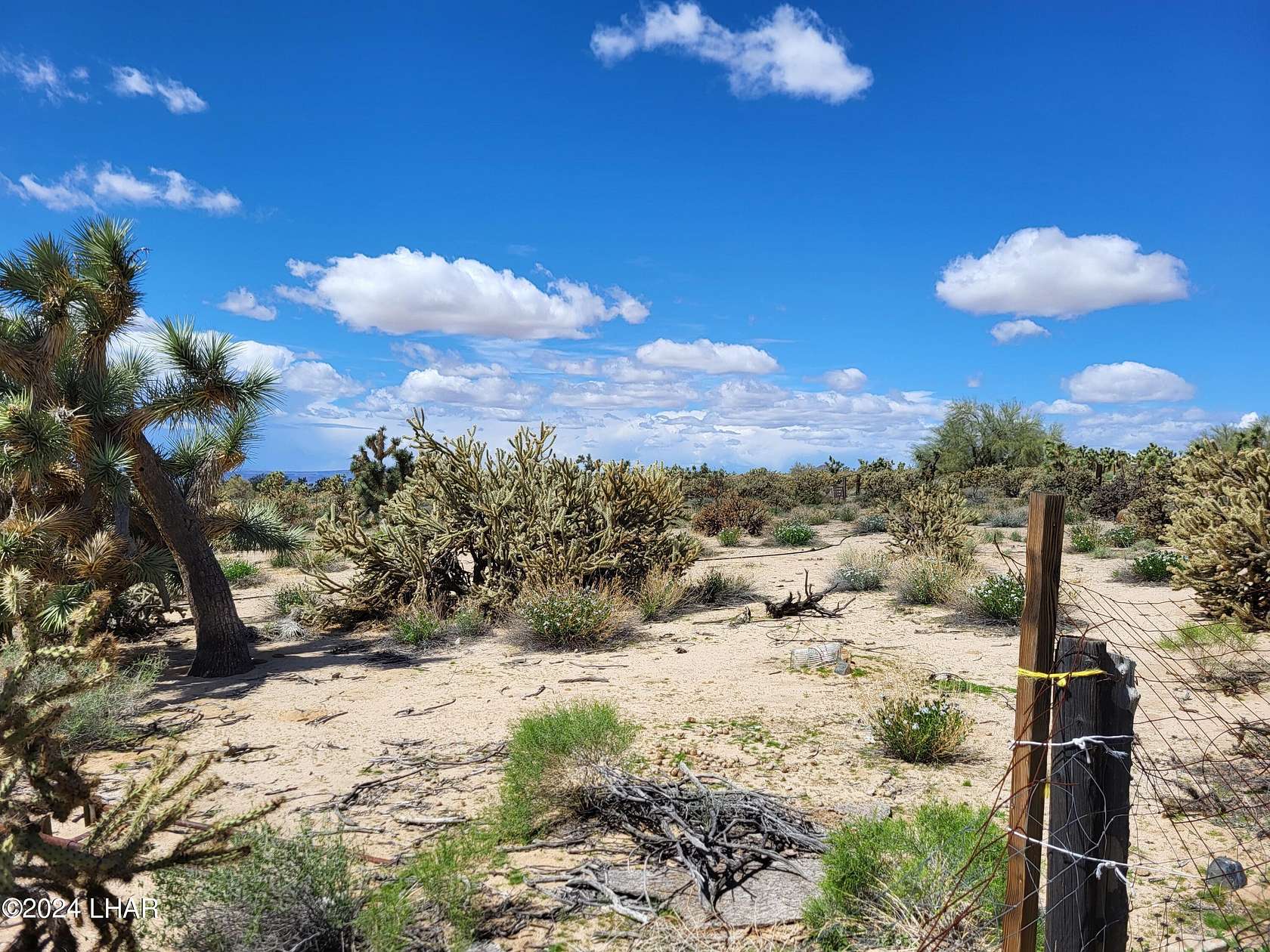 1.2 Acres of Mixed-Use Land for Sale in Yucca, Arizona