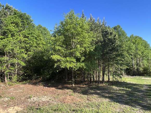 11.2 Acres of Recreational Land & Farm for Sale in Candor, North Carolina