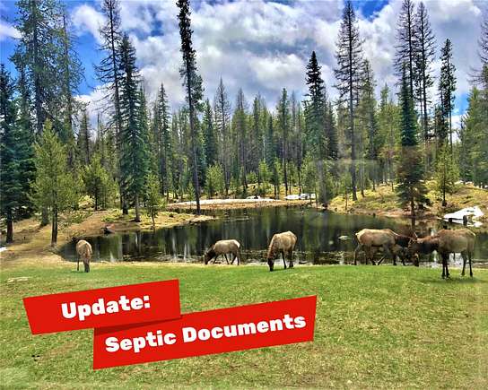 5.2 Acres of Land for Sale in Seeley Lake, Montana