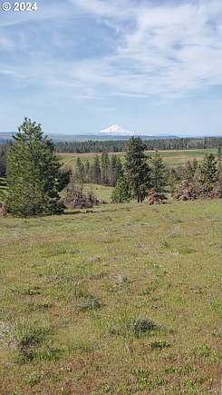 5 Acres of Land for Sale in Centerville, Washington
