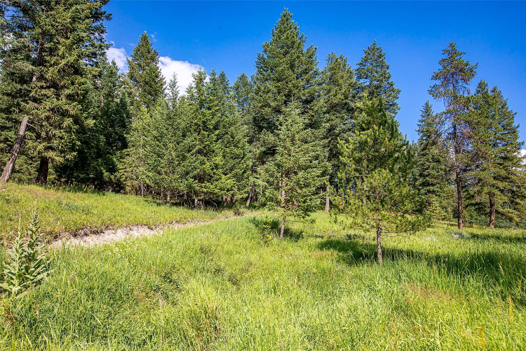 1.85 Acres of Residential Land for Sale in Whitefish, Montana