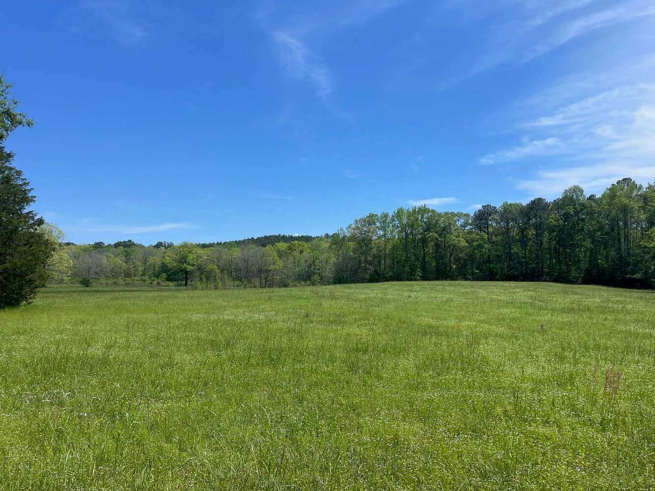32 Acres of Land for Sale in Marion, Alabama