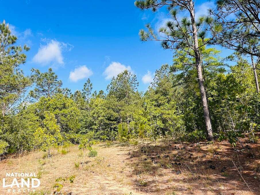 26.4 Acres of Recreational Land for Sale in Butler, Georgia
