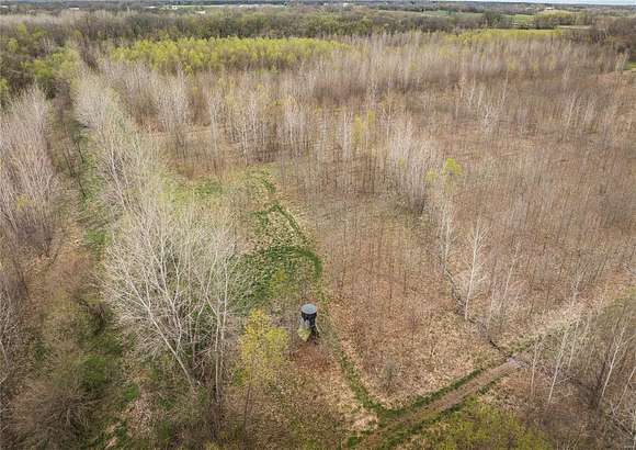 75 Acres of Recreational Land & Farm for Sale in Worden, Illinois