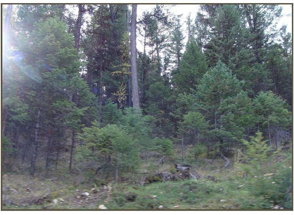 5.5 Acres of Residential Land for Sale in Fortine, Montana