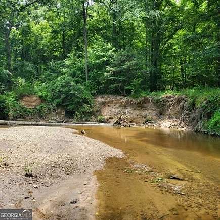 131 Acres of Land for Sale in Loganville, Georgia