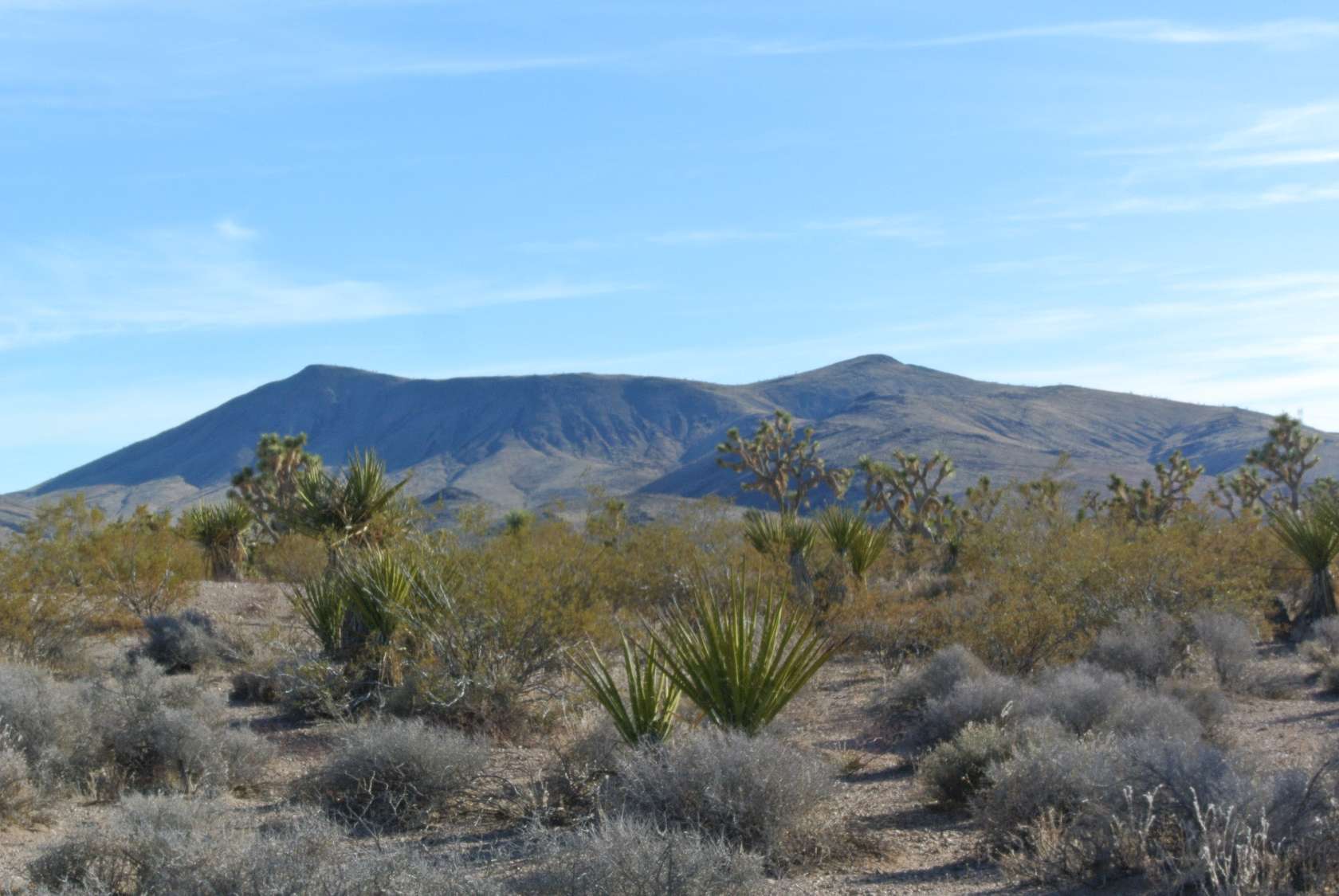 1 Acre of Residential Land for Sale in White Hills, Arizona