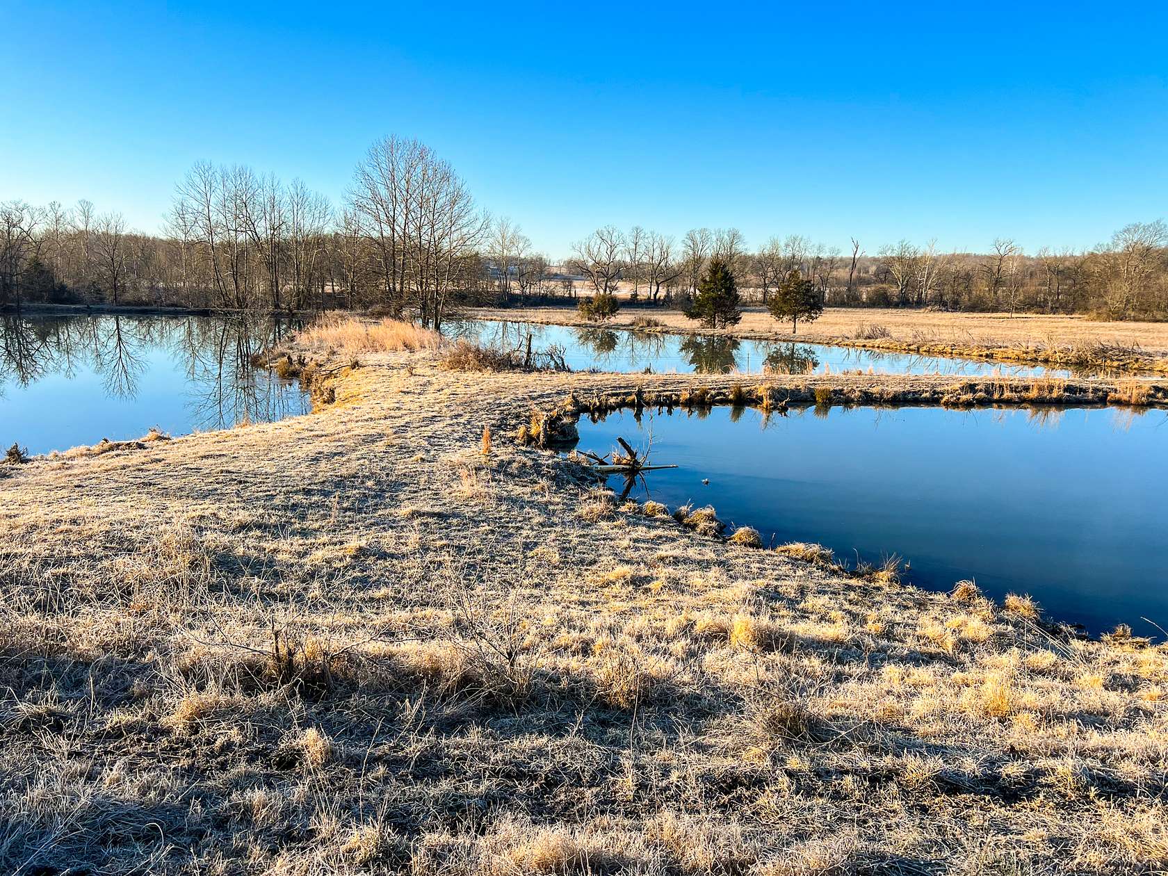 72 Acres of Recreational Land & Farm for Sale in West Plains, Missouri