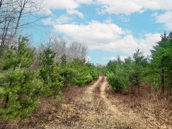 7 Acres of Land for Sale in Tomahawk, Wisconsin