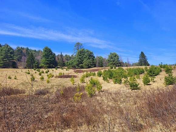 4.9 Acres of Land for Sale in Embden, Maine