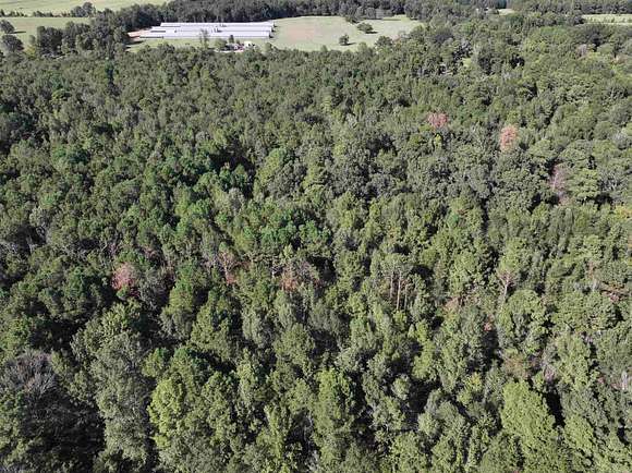 10 Acres of Residential Land for Sale in Horatio, Arkansas