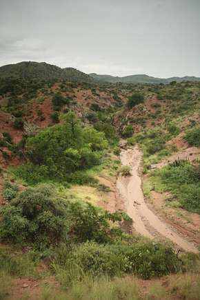 Small canyon that runs through the property. Flows after significant rains.