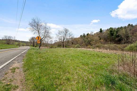 16.5 Acres of Land for Sale in Bland, Virginia