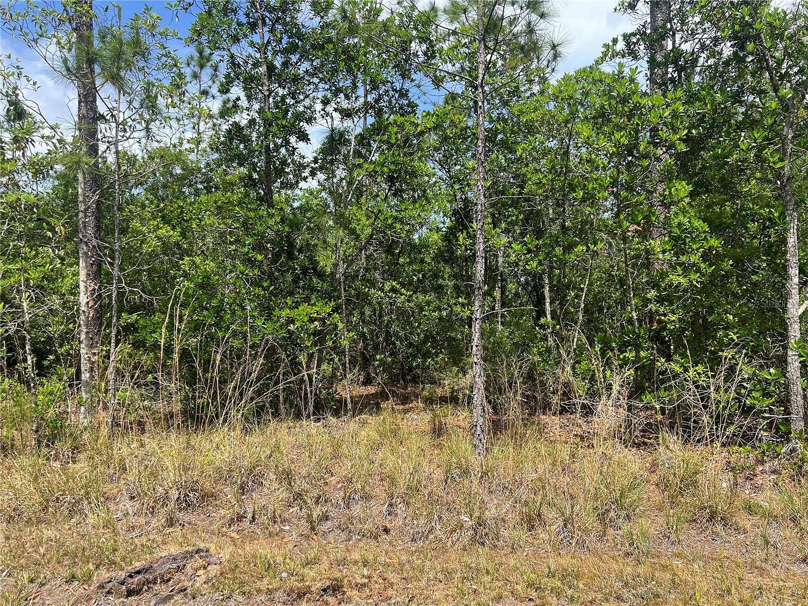 2 Acres of Residential Land for Sale in St. Cloud, Florida