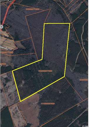 200 Acres of Land for Sale in Marion, South Carolina