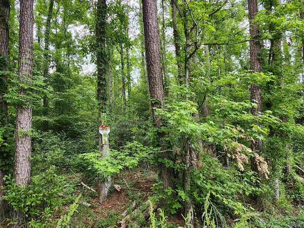 0.19 Acres of Residential Land for Sale in Denham Springs, Louisiana