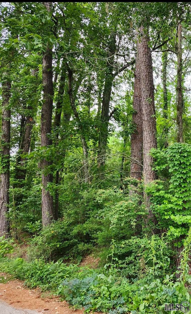 0.17 Acres of Residential Land for Sale in Denham Springs, Louisiana
