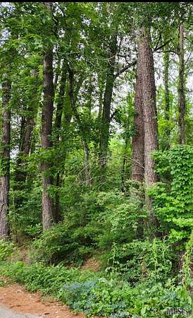 0.17 Acres of Residential Land for Sale in Denham Springs, Louisiana