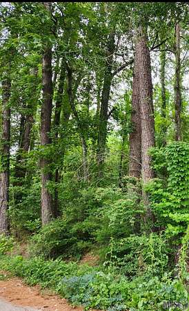 0.17 Acres of Residential Land for Sale in Denham Springs, Louisiana