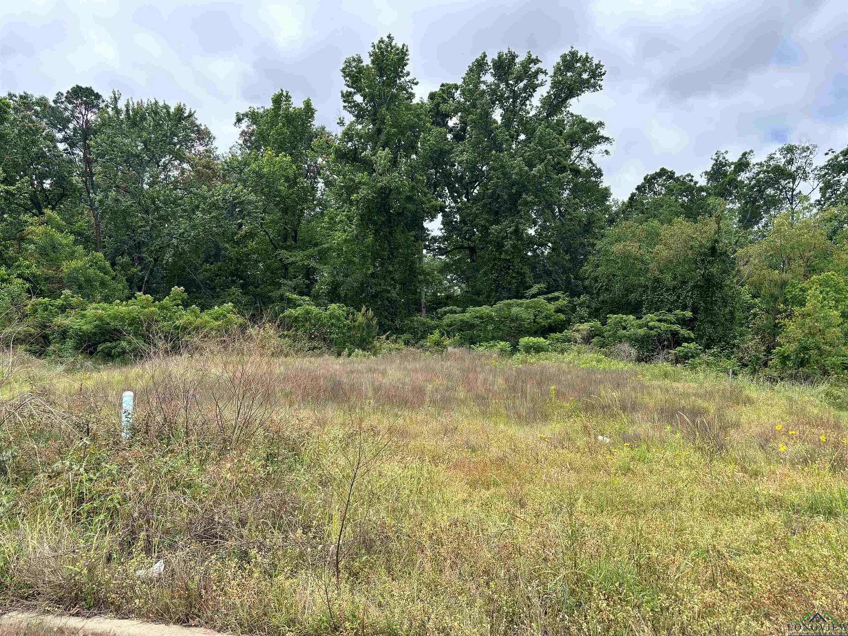 0.29 Acres of Residential Land for Sale in Longview, Texas