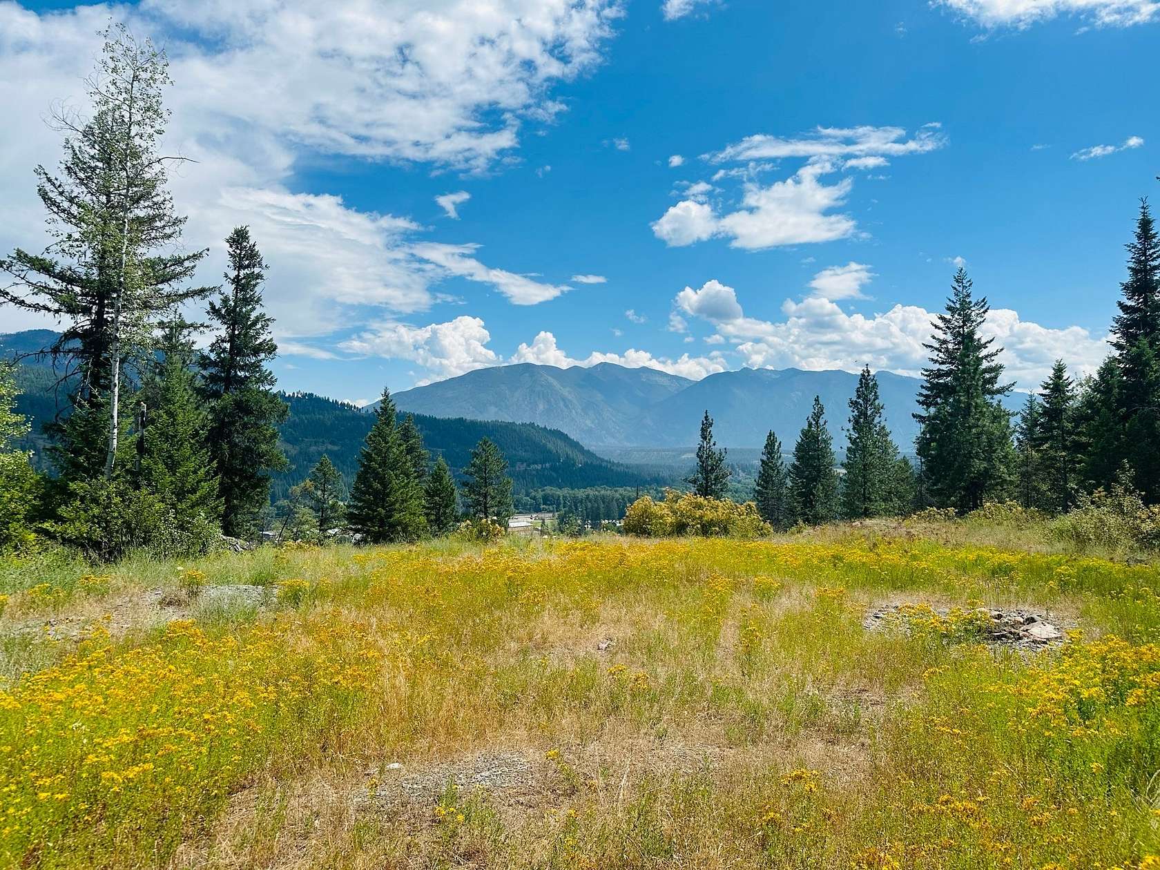 83.56 Acres of Recreational Land for Sale in Troy, Montana