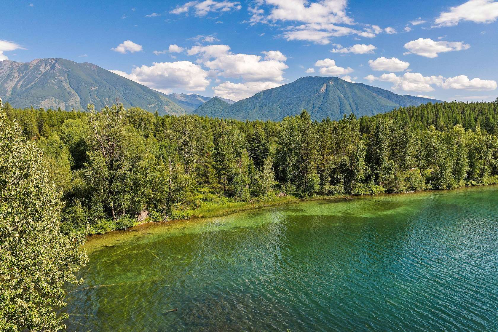50 Acres of Recreational Land for Sale in West Glacier, Montana