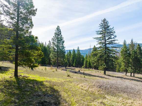 156 Acres of Recreational Land for Sale in Kila, Montana