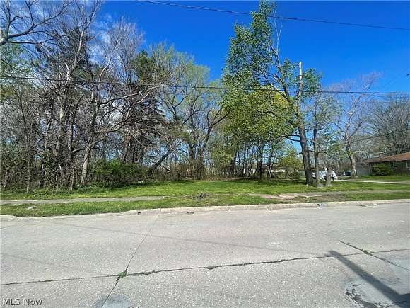 0.5 Acres of Residential Land for Sale in Lorain, Ohio