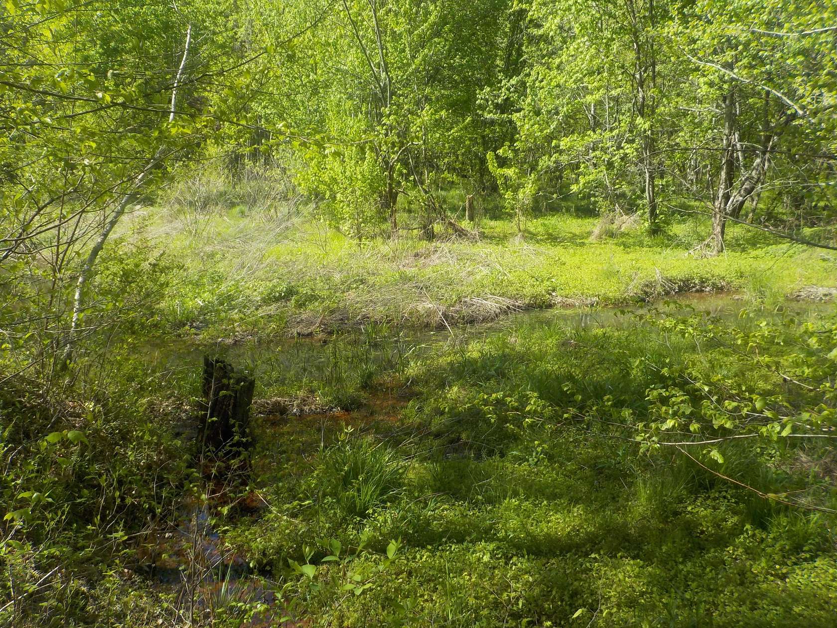 24.3 Acres of Recreational Land for Sale in Bean Station, Tennessee