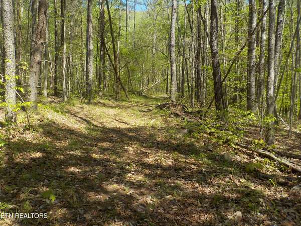 24.3 Acres of Land for Sale in Bean Station, Tennessee