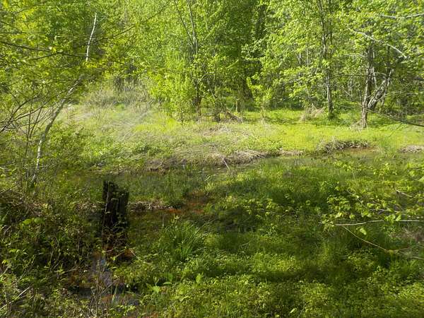 24.3 Acres of Recreational Land for Sale in Bean Station, Tennessee