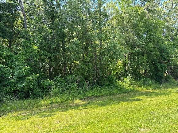0.5 Acres of Residential Land for Sale in Bunnell, Florida